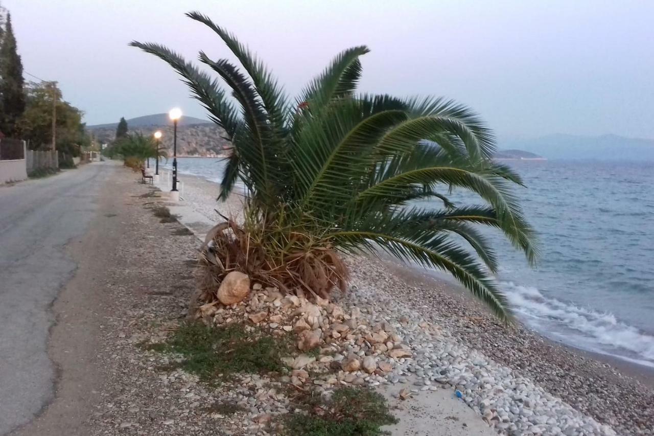 Family House Near The Beach Drepano-Nafplio Екстериор снимка